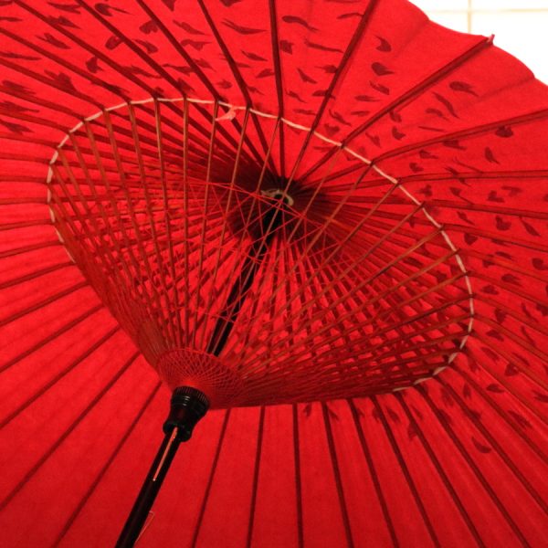 桜吹雪の赤色の蛇の目傘