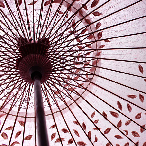 桜吹雪の絵のピンクの和傘