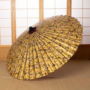 Disney｜Japanese umbrella｜ディズニー/京都伝統工芸 和傘｜和傘屋辻倉